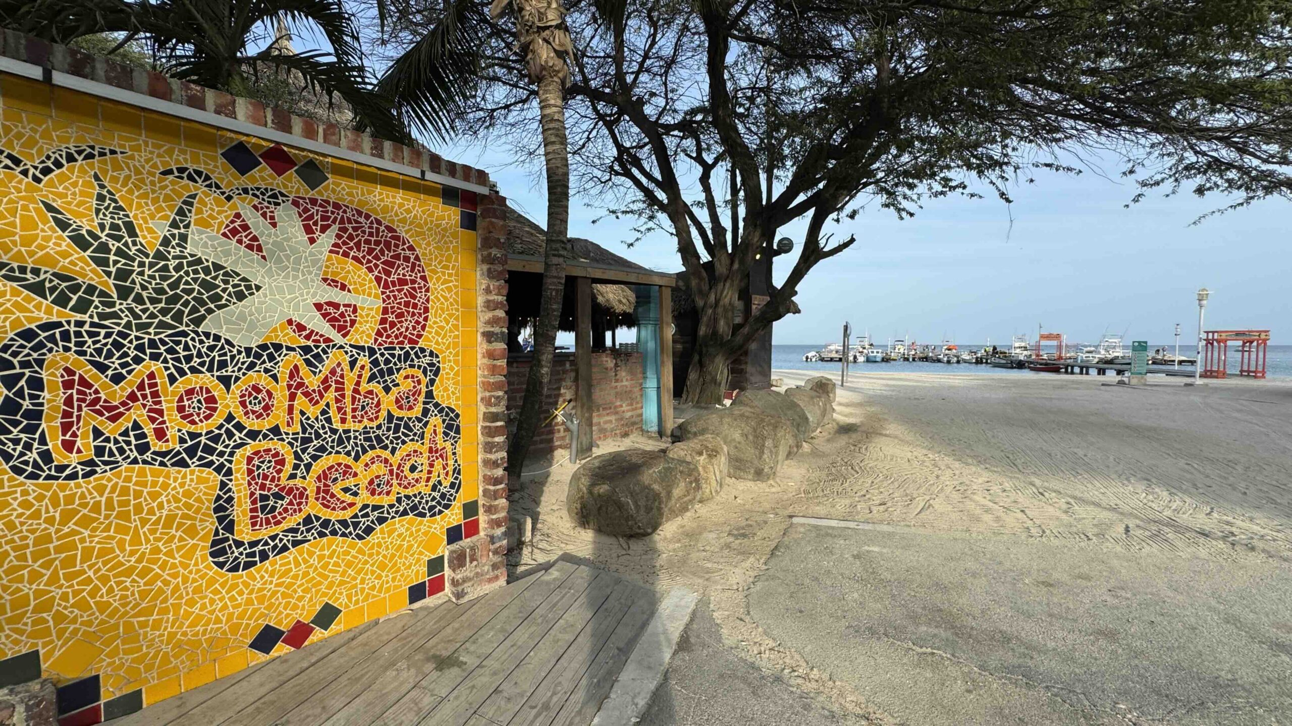 Moomba Beach and the pier by Bryan Dearsley