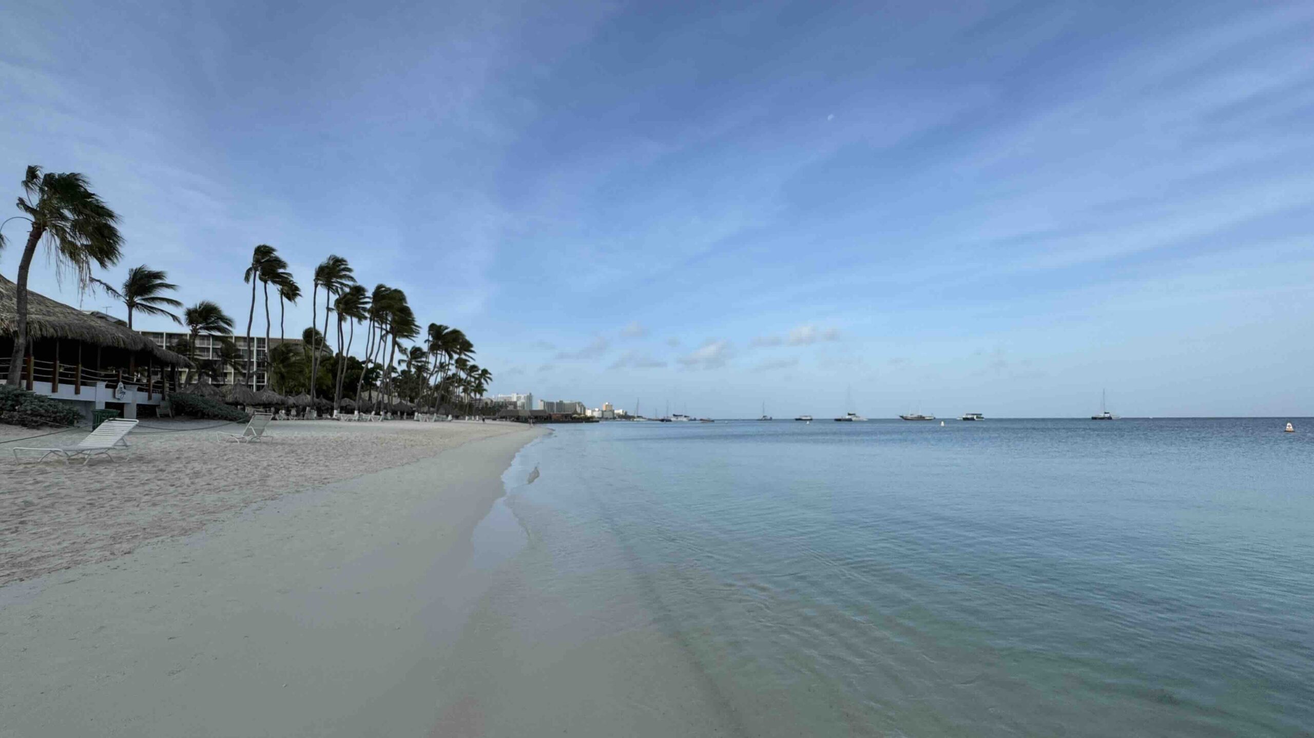 Plam Beach in early morning by Bryan Dearsley