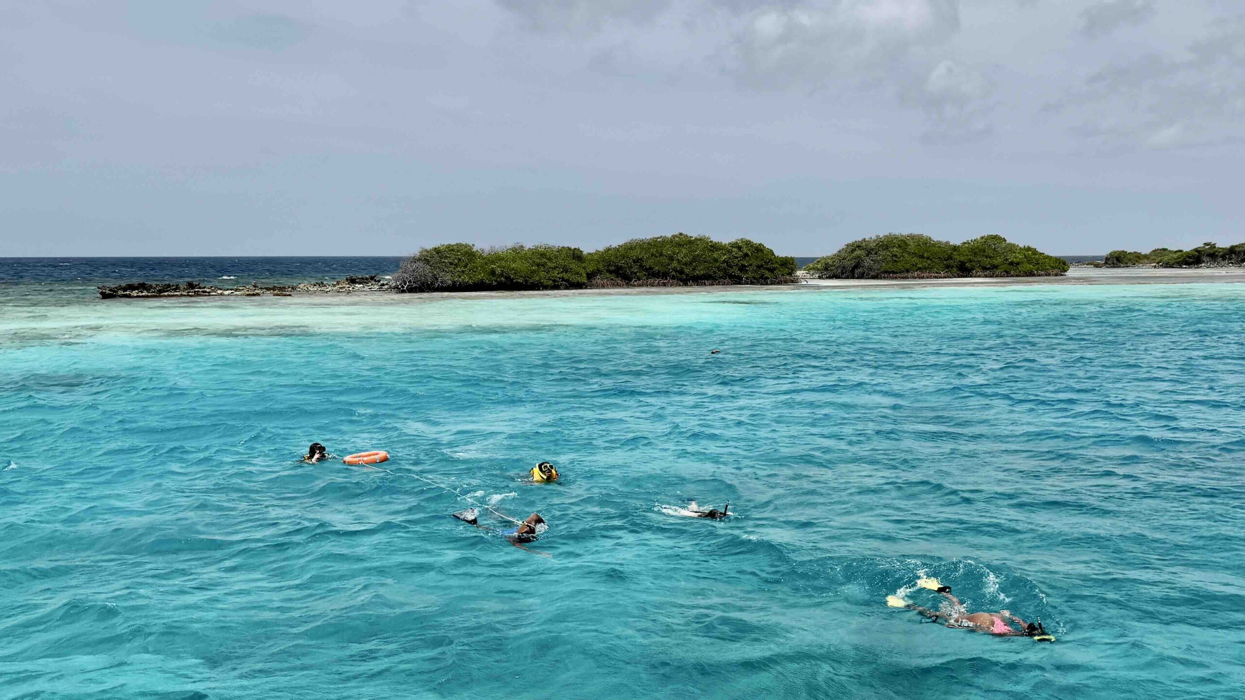 Snorkeling with Pelican Tours is a must do luxury travel in Aruba Experience